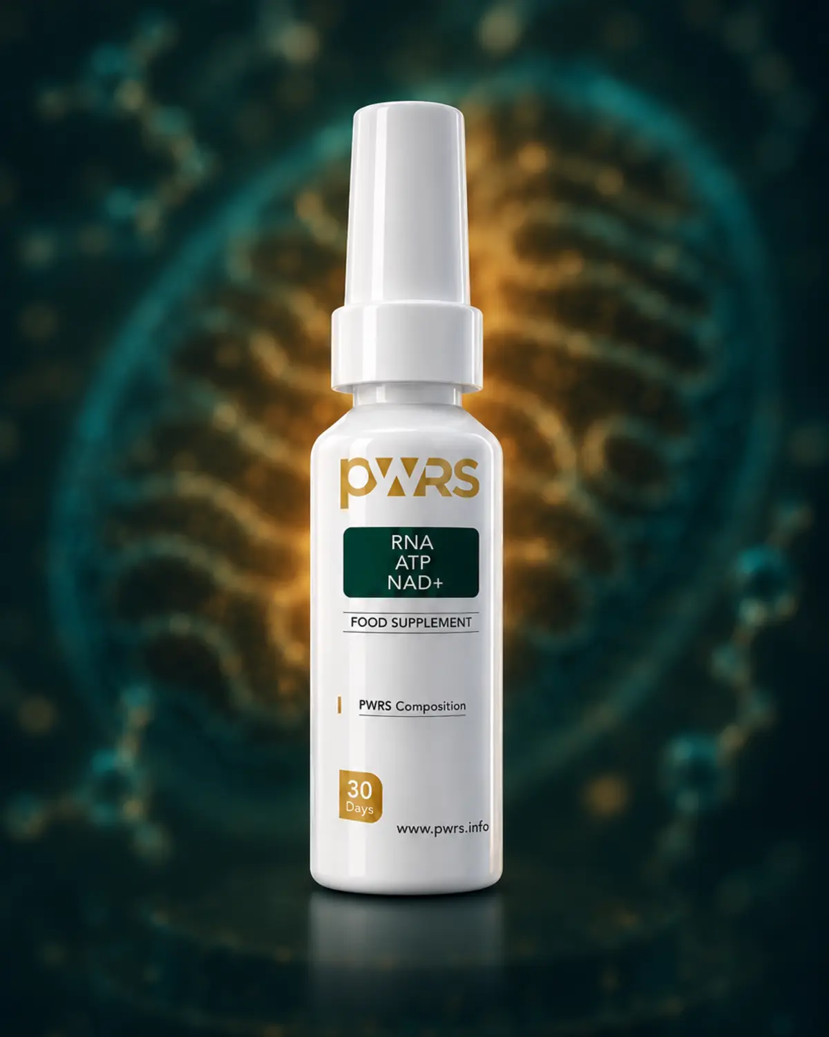 RNA · ATP · NAD+ — PWRS Supplement